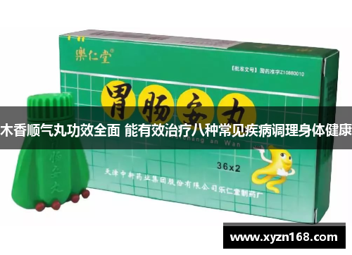 木香顺气丸功效全面 能有效治疗八种常见疾病调理身体健康